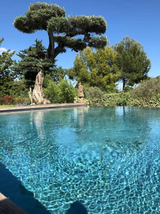 Bastide Languedocienne De Standing - Pezenas Le Clos De L'Amandier Buitenkant foto